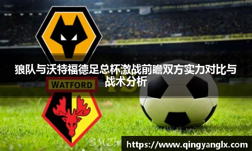 狼队与沃特福德足总杯激战前瞻双方实力对比与战术分析